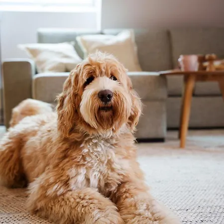 Stuub 4* Titisee-Neustadt